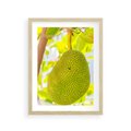 Plakat w ramie 30x40 - Tropikalny raj nad morzem - tropikalny, owoc - rama drewno
