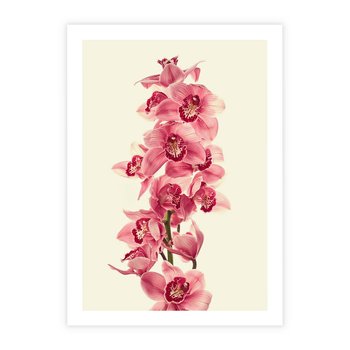Plakat bez ramy 30x40 - Orchidea w spa - relaks - orchidea, spa