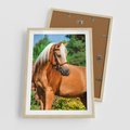 Plakat w ramie 50x70 - Elegancki wierzchowiec - koń, portret - rama drewno