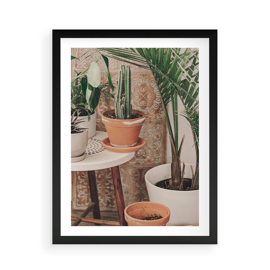 Plakat w ramie 50x70 - Boho Oaza: Kaktusy w Doniczkach - rośliny kaktusy w doniczkach, boho wnętrze - rama czarna
