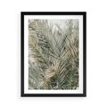 Plakat w ramie 50x70 - Egzotyczny Świat Palm - palmy, liście palmy - rama czarna