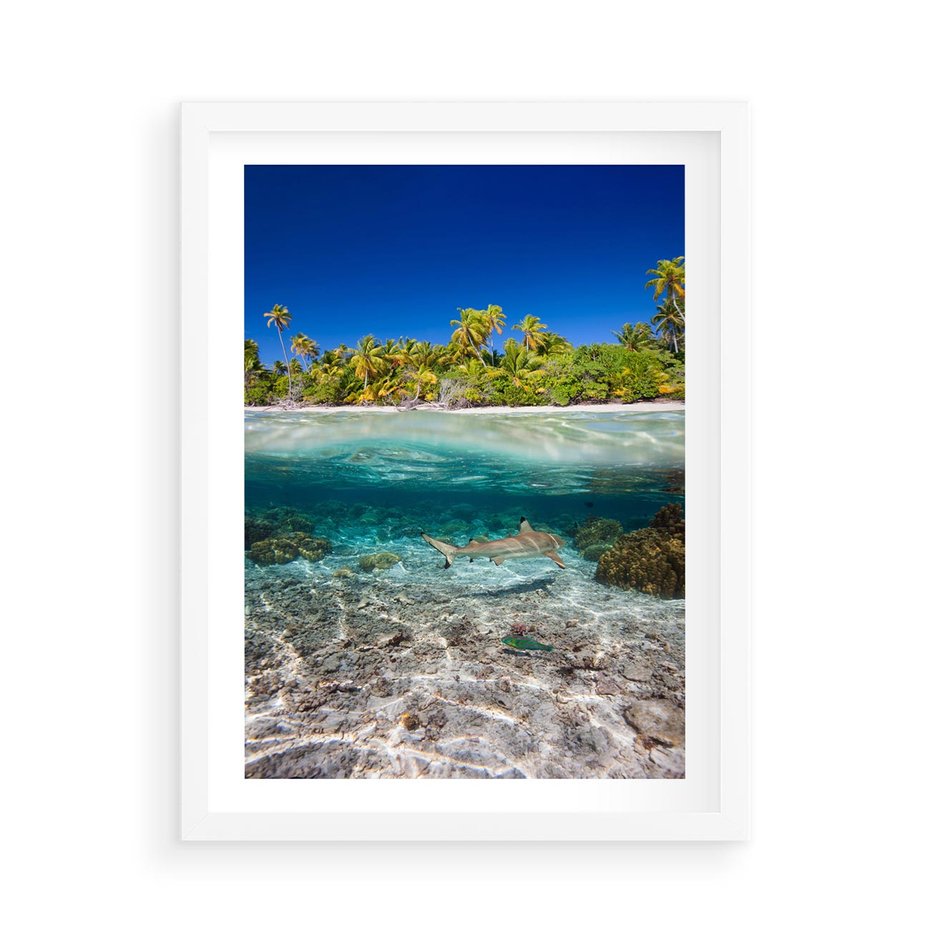 Plakat w ramie 50x70 - Tropikalne Morze i Kolorowa Rafa - tropikalne, morze - rama biała
