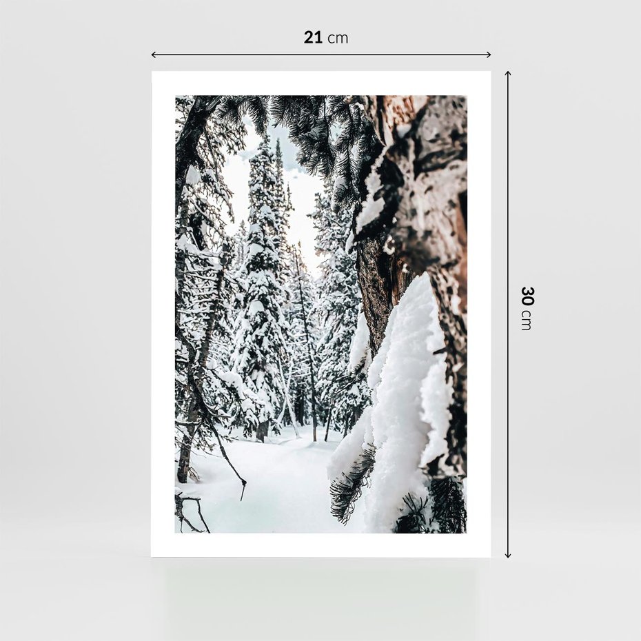 Plakat bez ramy 21x30 - Drzewa pod Śniegiem - zima las, drzewa pod śniegiem