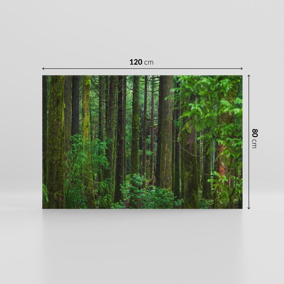 Obraz na płótnie 120x80 - Mistyka leśnej głuszy - las, drzewa