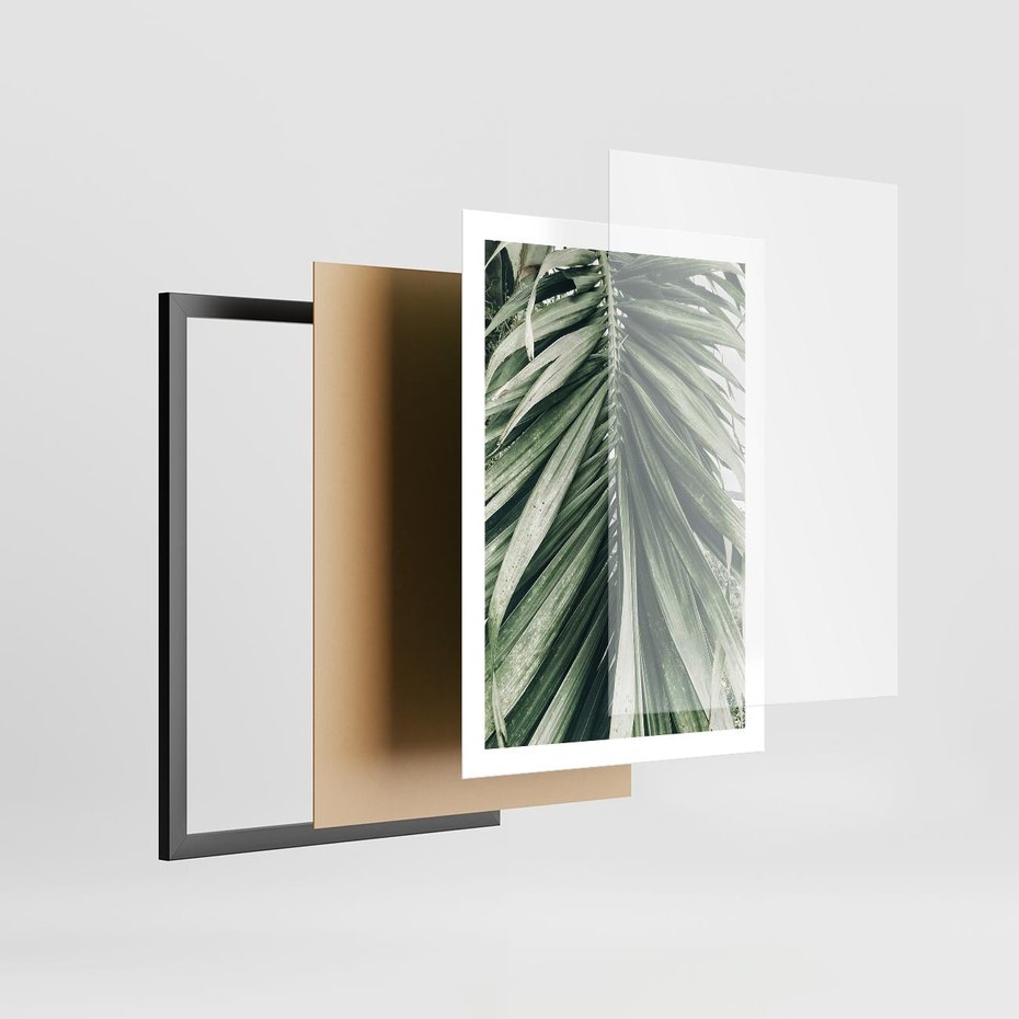 Plakat w ramie 50x70 - Spokojna Piękność Palmowych Liści - palma, liście palmy - rama czarna
