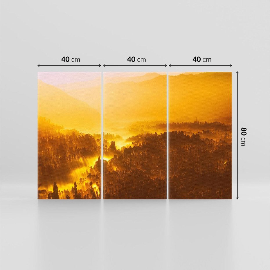 Obraz na płótnie 120x80 - Krajobraz leśny - las, drzewa