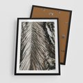 Plakat w ramie 50x70 - Egzotyczne Gałęzie - suche gałęzie, liście palmy - rama czarna
