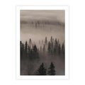 Plakat bez ramy 21x30 - Mglista Opowieść Lasu - las, mgła