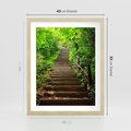 Plakat w ramie 40x50 - Lasowa ścieżka pełna tajemnic - ścieżka, schody - rama drewno
