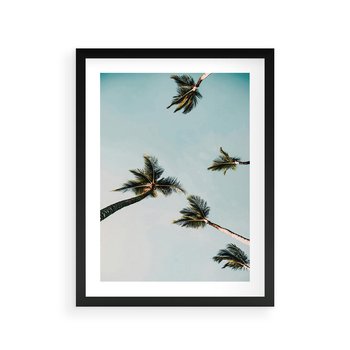 Plakat w ramie 30x40 - Palmy i Niebo - palmy, ujęcie z dołu - rama czarna