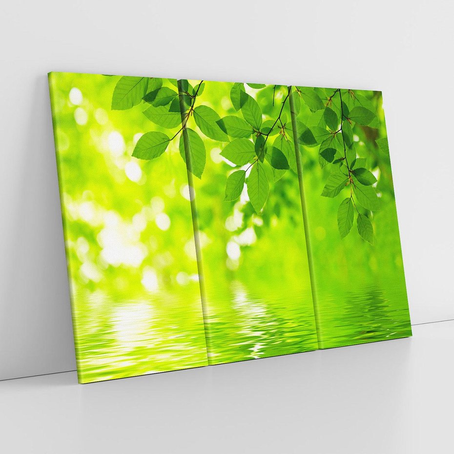 Obraz na płótnie 120x80 - Liście w Wodzie - liście, woda