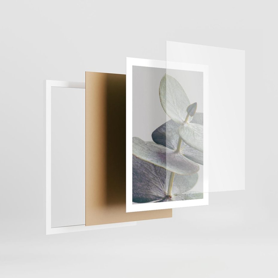 Plakat w ramie 50x70 - Zbliżenie Liści Eukaliptusa - eukaliptus, zbliżenie - rama biała