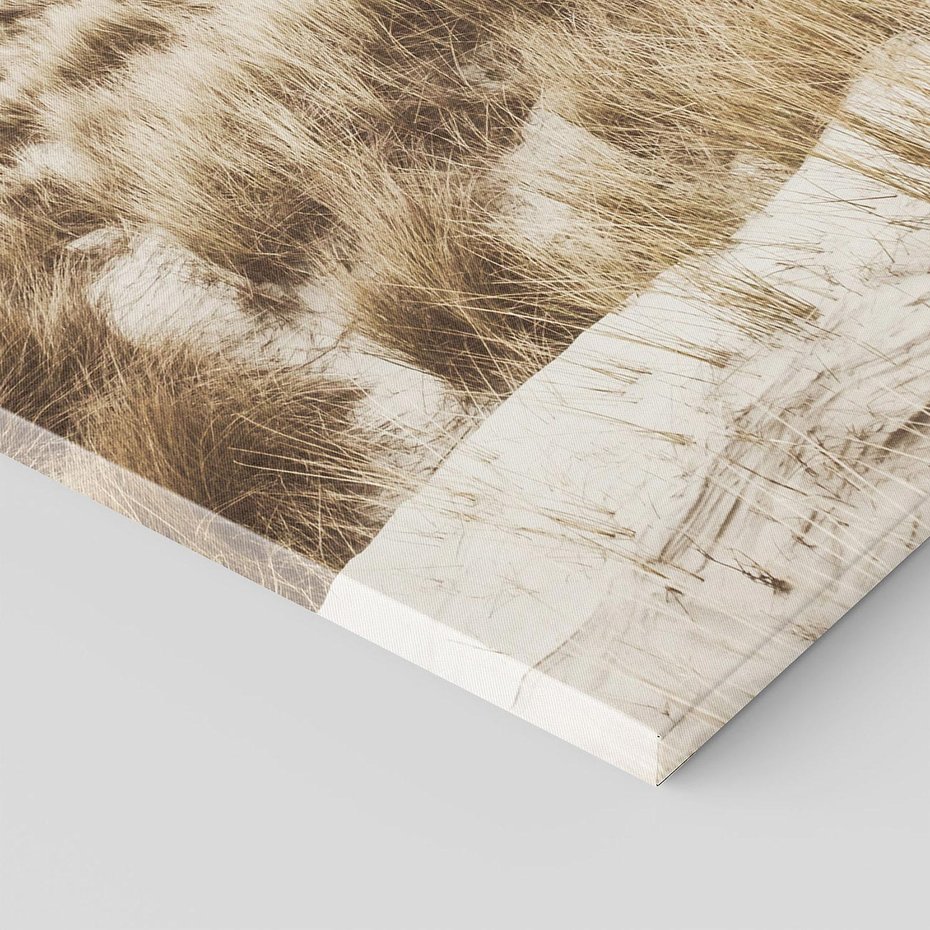 Obraz na płótnie 50x70 - Nadmorskie Wydmy - fotografia, kolory sepii