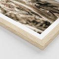 Plakat w ramie 50x70 - Retro Pole Kukurydzy - retro zdjęcie, sepia - rama drewno