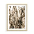 Plakat w ramie 50x70 - Retro Pole Kukurydzy - retro zdjęcie, sepia - rama drewno