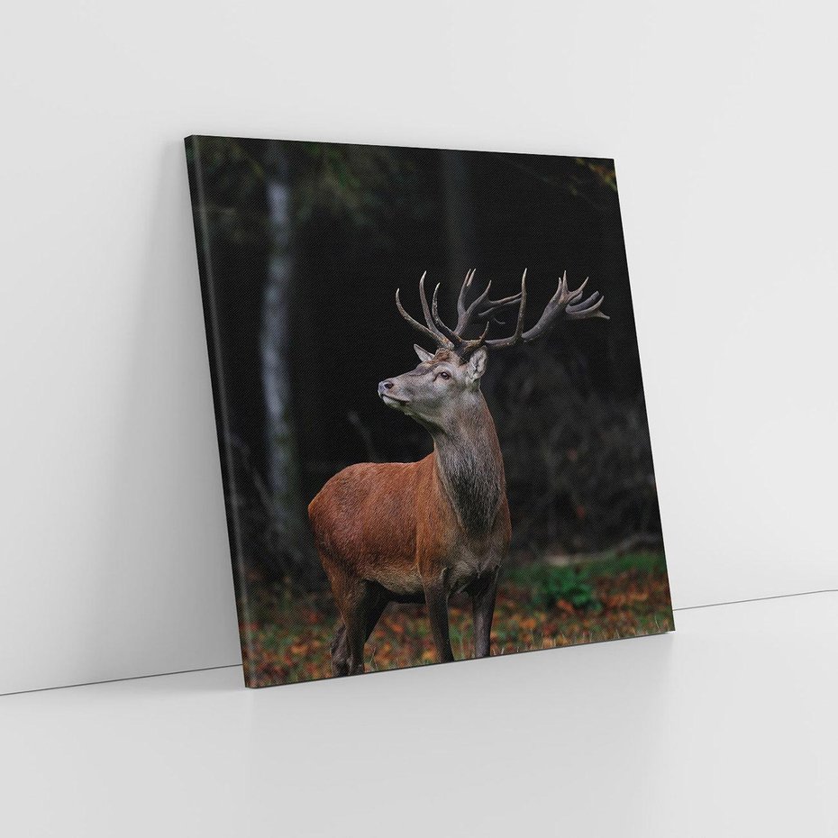 Obraz na płótnie 80x80 - Spotkanie z naturą - jeleń, las