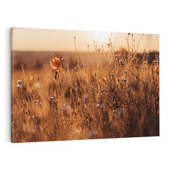 Obraz na płótnie 120x80 - Zachwyt zachodem słońca na łące - zachód, słońca