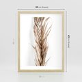 Plakat w ramie 30x40 - Minimalizm Palmowy: Sucha Uroda - sucha palma, minimalizm - rama drewno
