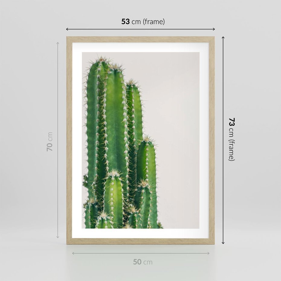 Plakat w ramie 50x70 - Minimalistyczne Kaktusy na Białym Tle - kaktusy, minimalistyczna fotografia - rama drewno