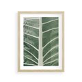 Plakat w ramie 30x40 - Zielone Wielkości: Zbliżenie Liścia - zbliżenie duz liść, jasna zieleń - rama drewno