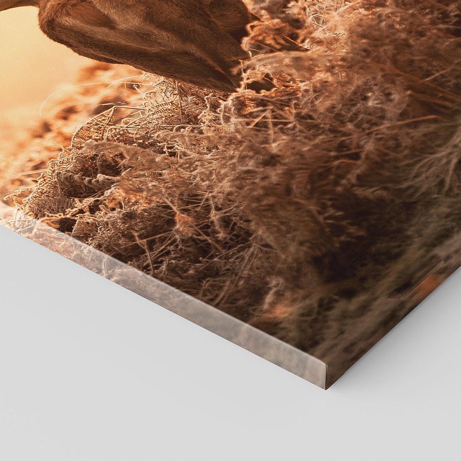 Obraz na płótnie 70x100 - Magia jesiennego słońca: Jeleń w promieniach - jeleń, jesień