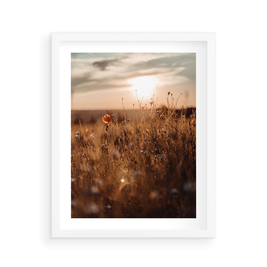 Plakat w ramie 40x50 - Zachwyt zachodem słońca na łące - zachód, słońca - rama biała