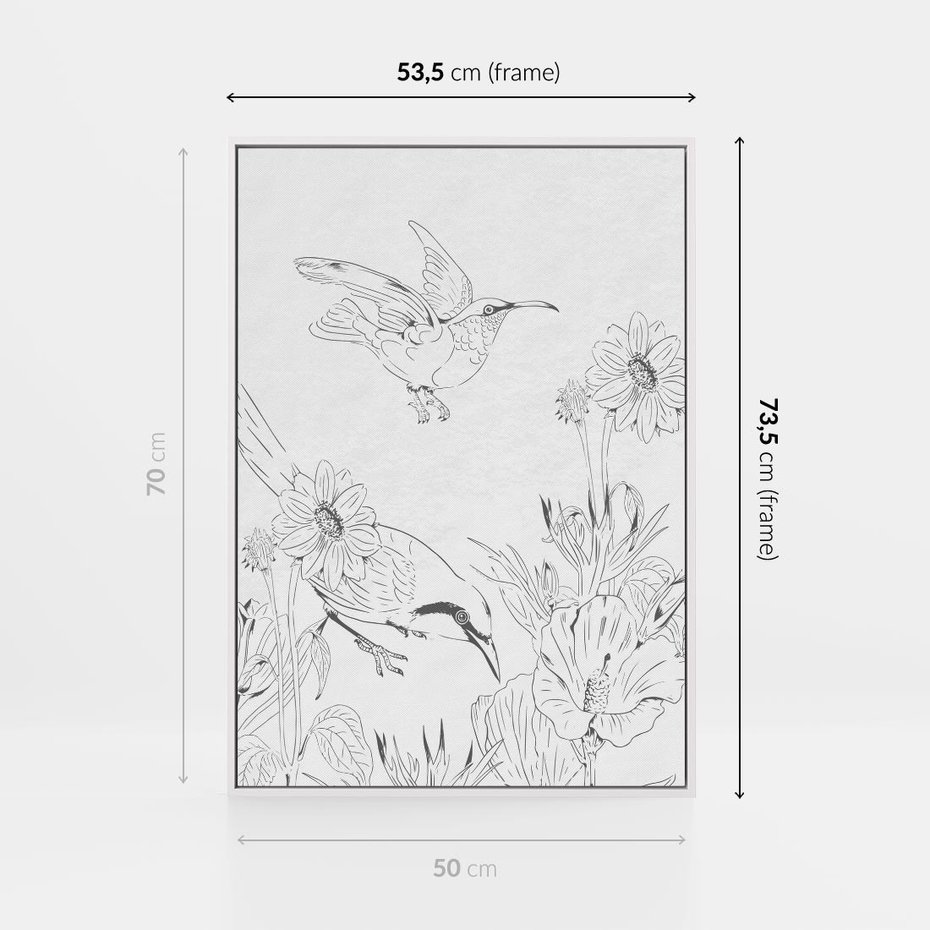 Obraz w ramie 50x70 - Tropiki w Monochromie - czarno biały szkic, tropikalne ptaki - rama biała