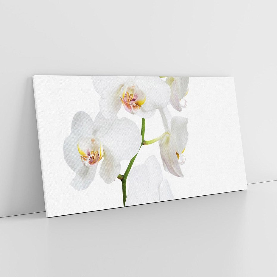 Obraz na płótnie 100x50 - Ekskluzywny Relaks - storczyk, spa