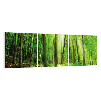 Obraz na płótnie 90x30 - Spacer po urokliwej dróżce w lesie - las, dróżka