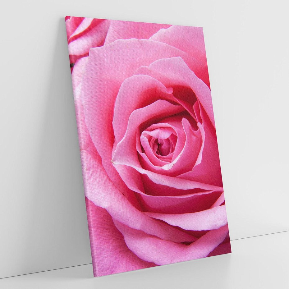 Obraz na płótnie 70x100 - Róża Wspaniałości - róża, kwiat