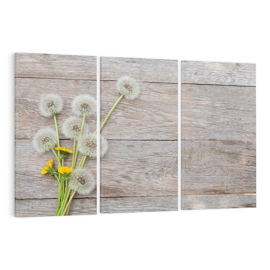 Obraz na płótnie 120x80 - Delikatne dmuchawce w otoczeniu natury - dmuchawce, natura