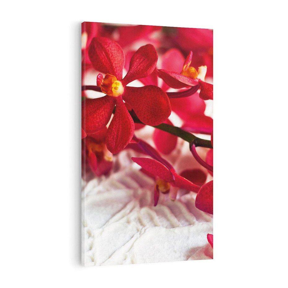Obraz na płótnie 50x70 - Delikatność Kwiatowej Elegancji - orchidea, kwiat