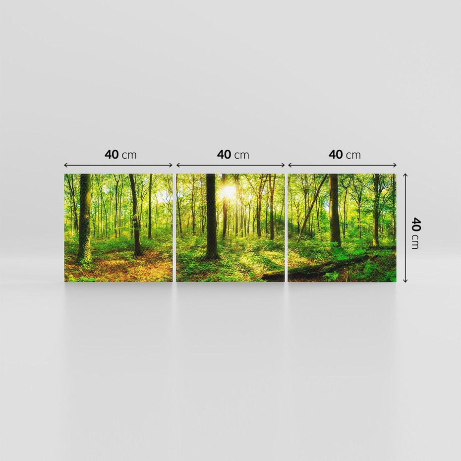 Obraz na płótnie 120x40 - Mistyfikujący las - las, drzewa