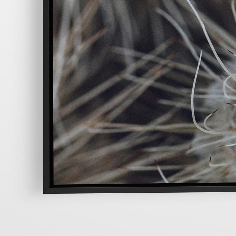 Obraz w ramie 100x70 - Ulotna Piękność Natury - makro, dmuchawce - rama czarna