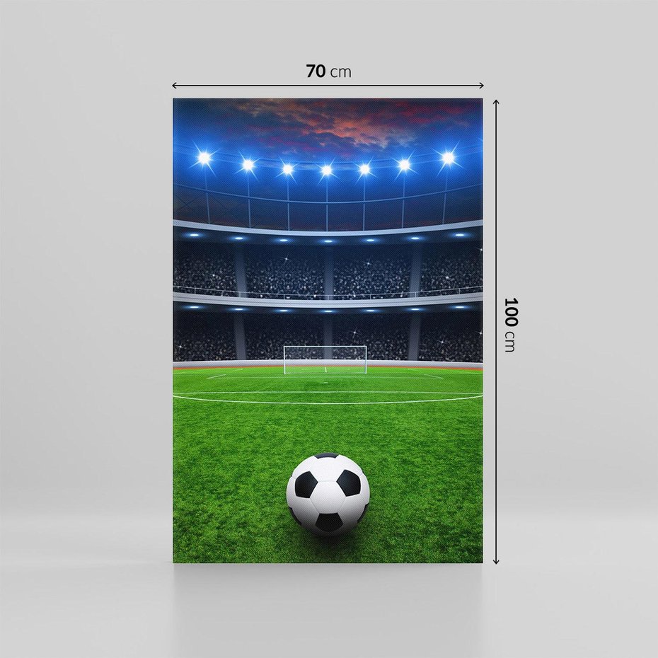 Obraz na płótnie 70x100 - Piłka nożna - gol! - piłka nożna, gol