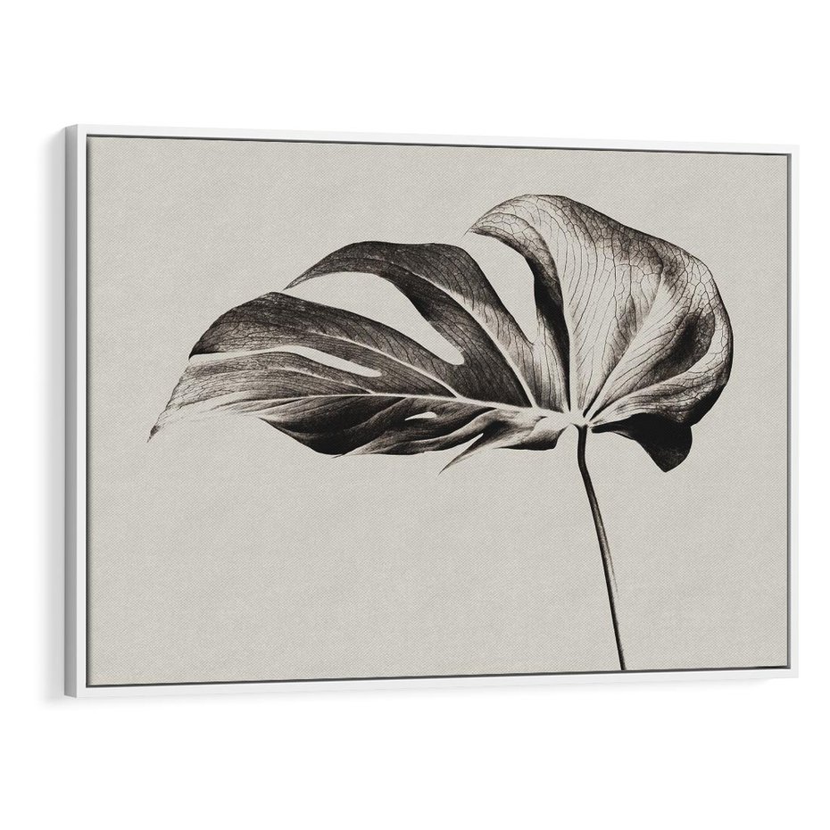 Obraz w ramie 100x70 - Szepczący Liść - szkic, czarno biały - rama biała