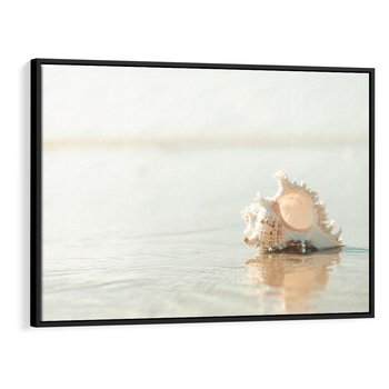 Obraz w ramie 70x50 - Spokój Plaży - fotografia, biała muszla na plaży - rama czarna