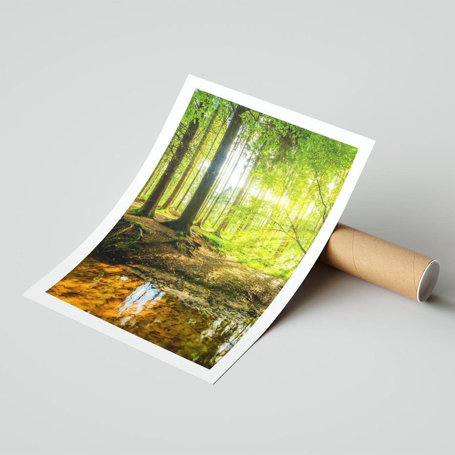 Plakat bez ramy 30x40 - Las nad Wodą - las, woda