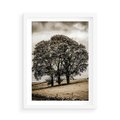Plakat w ramie 50x70 - Spokojna Osamotniona Chwila - beżowe kolory, samotne drzewo na polu - rama biała