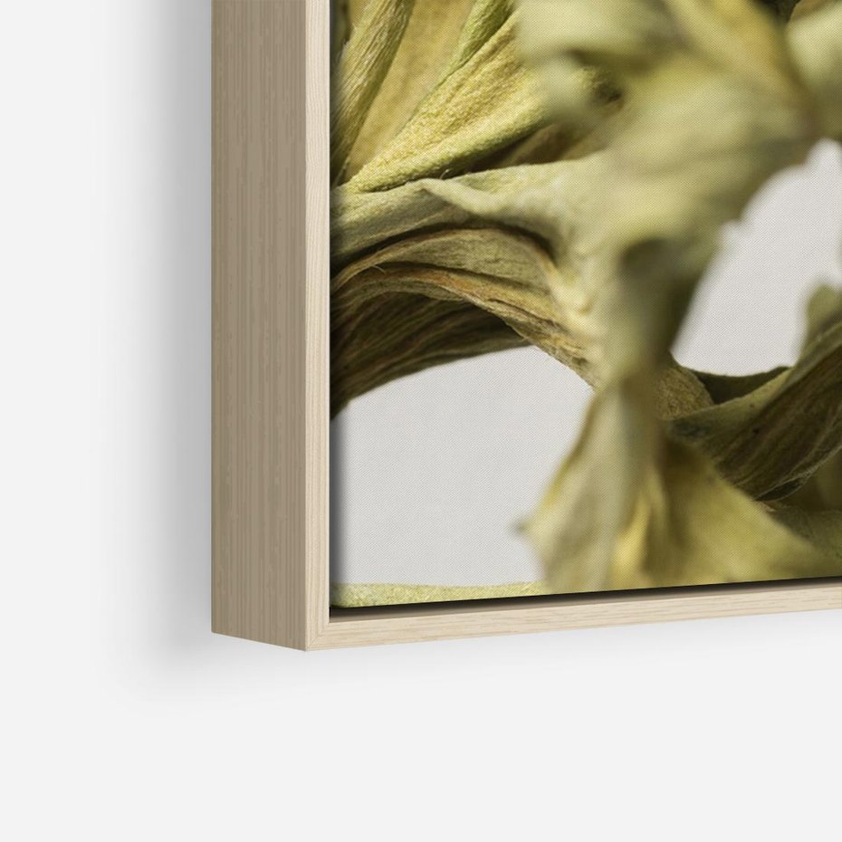 Obraz w ramie 100x70 - Odejście pory deszczowej - suche, trawy - rama drewno