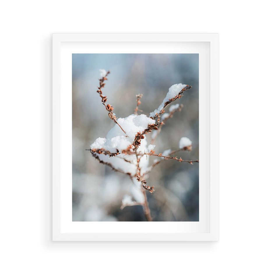 Plakat w ramie 40x50 - Zimowy Urok Natury - gałązki pod śniegiem, natura - rama biała