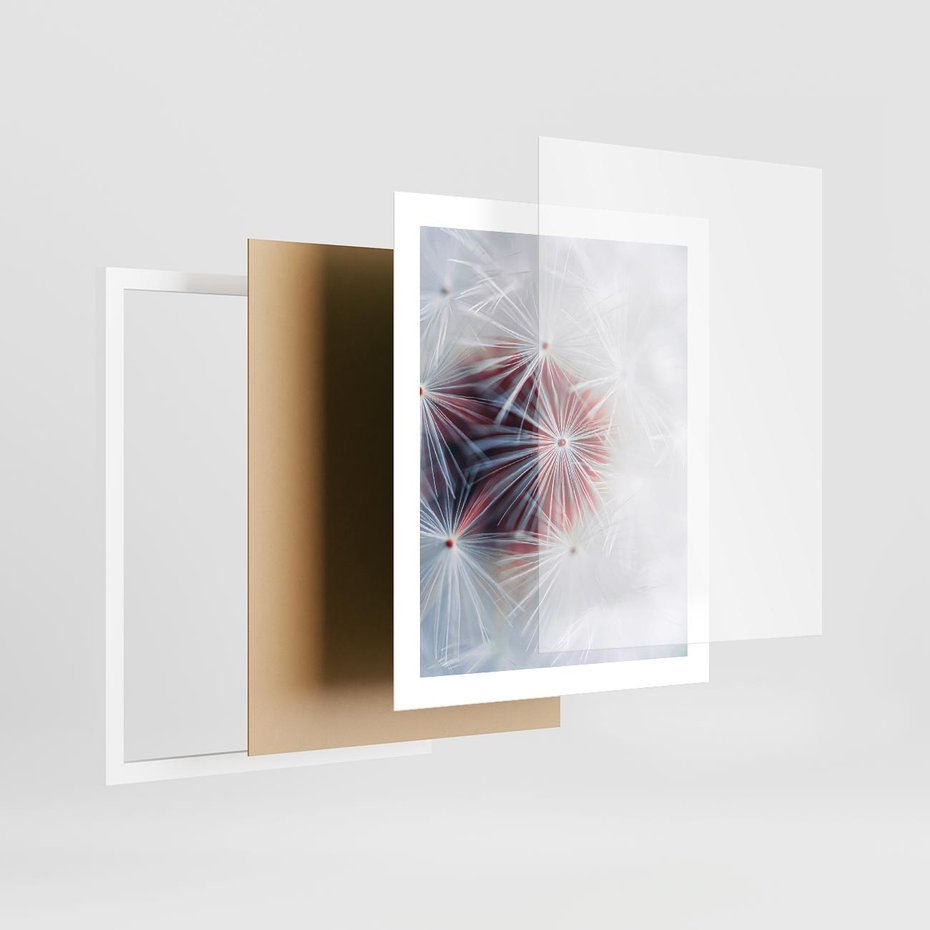 Plakat w ramie 40x50 - Minimalistyczna Delikatność - zbliżenie, dmuchawce - rama biała
