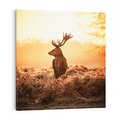 Obraz na płótnie 50x50 - Magia jesiennego słońca: Jeleń w promieniach - jeleń, jesień