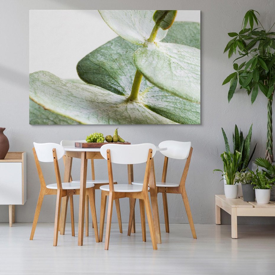 Obraz na płótnie 70x50 - Eukaliptusowa zieleń - eukaliptus, zielone