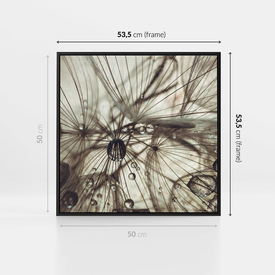Obraz w ramie 50x50 - Lekkie dmuchawce - dmuchawce, krople - rama czarna