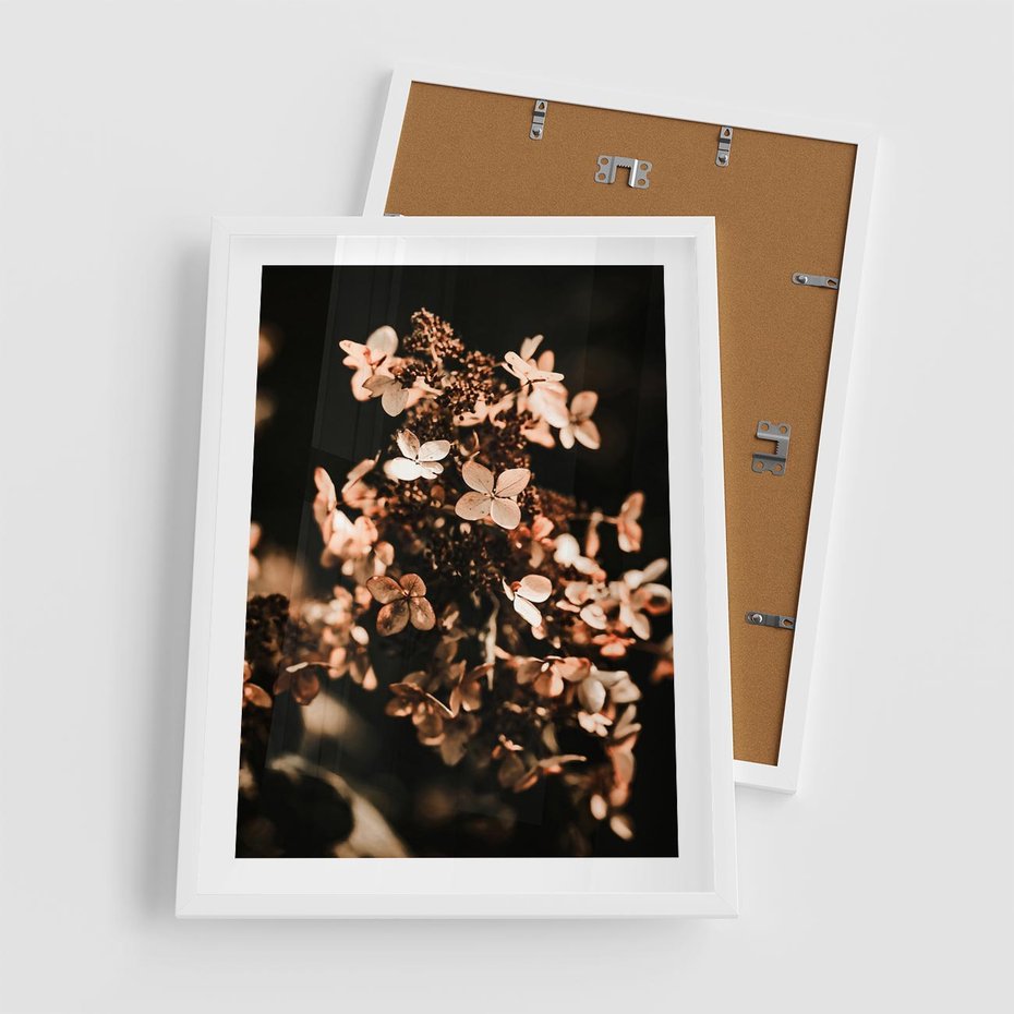 Plakat w ramie 50x70 - Hortensja - Suchy Kwiat w Sztuce - hortensja, suchy kwiat - rama biała