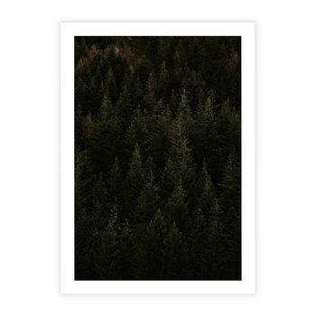 Plakat bez ramy 30x40 - Ciemny las iglasty - las, iglasty