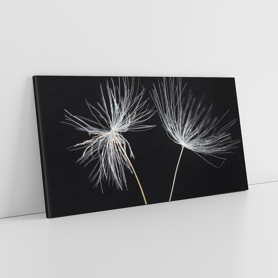 Obraz na płótnie 140x70 - Delikatność Wiatru - dmuchawce, makro