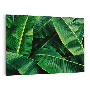 Obraz na płótnie 70x50 - Zaklęta roślinna ekspresja - liście bananowca, gęsto ułożone