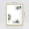 Plakat w ramie 40x50 - Liście Palmy na Czystym Tle - liście palmy, białe tło - rama drewno